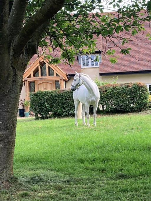 2 Beds & Living In Our Idyllic Country Cottage Bedford Esterno foto